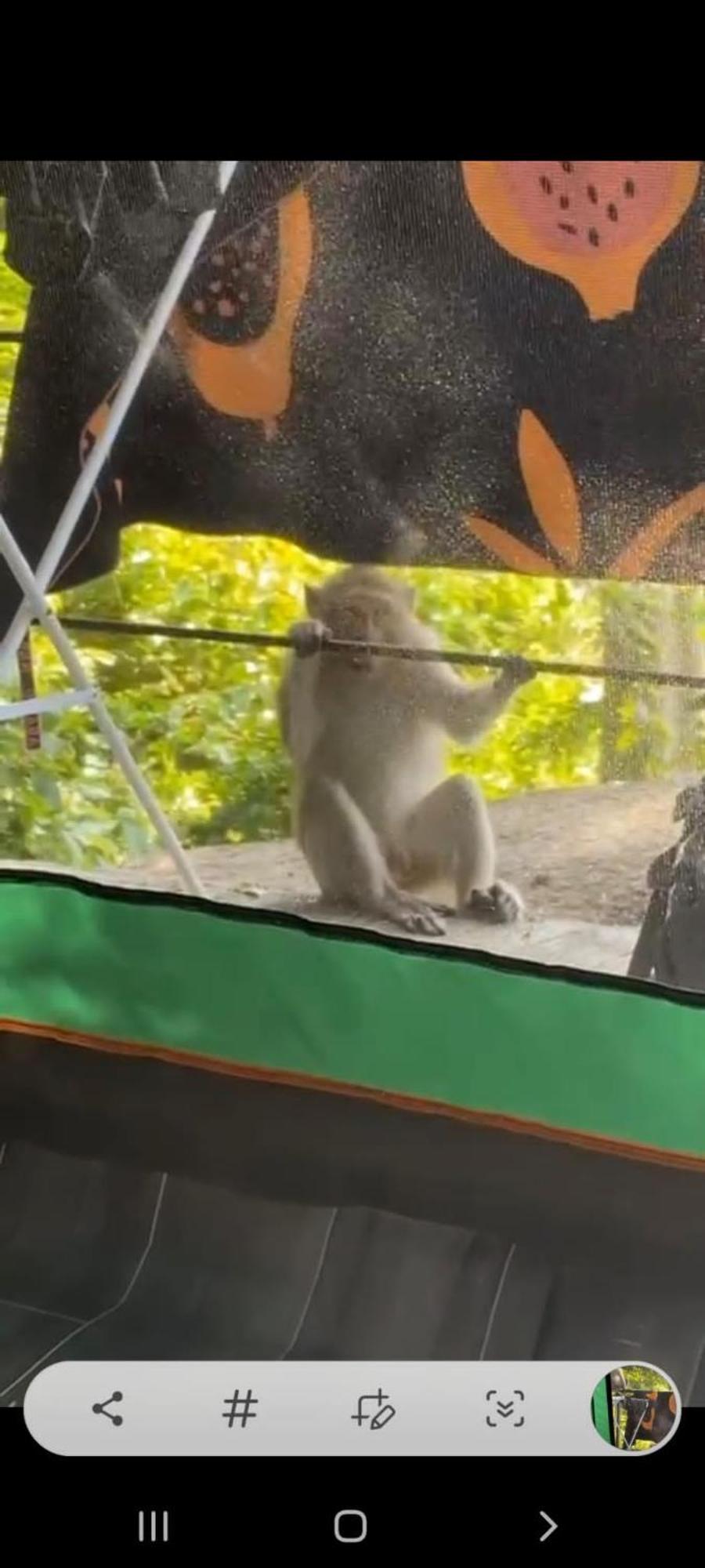 Joy Camping Haad Rin Eksteriør bilde
